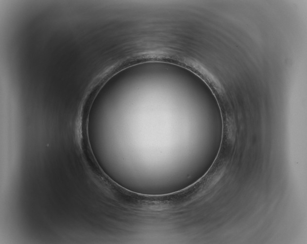 X0000102480486200808151453