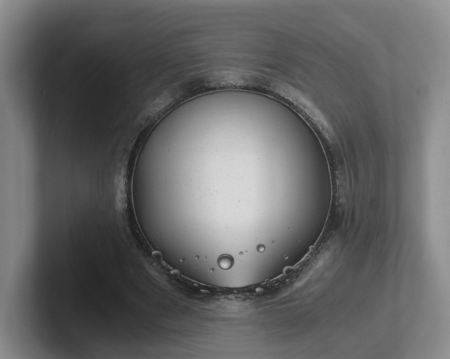 X0000102480489200808151453