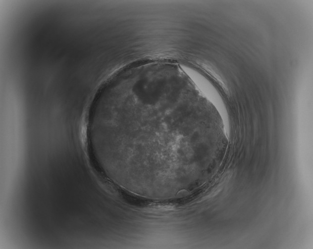 X0000102480491200808151453