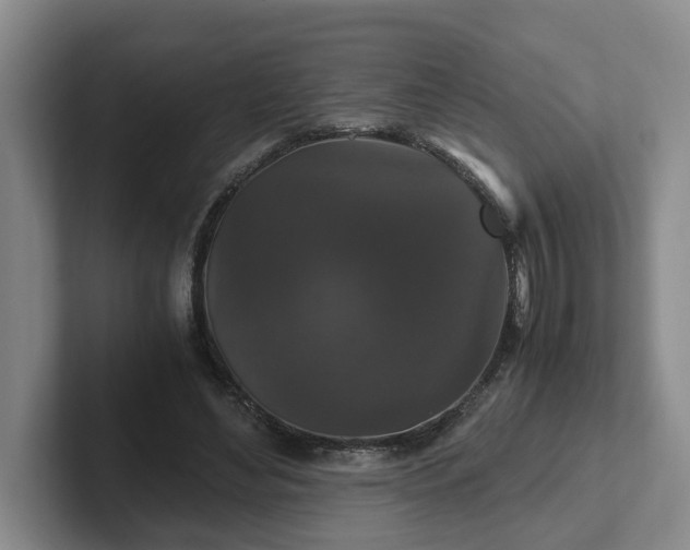 X0000102480492200808151453