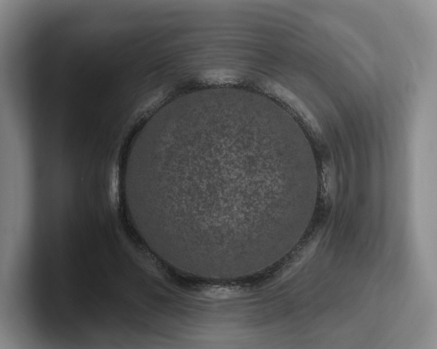 X0000102480494200808151453