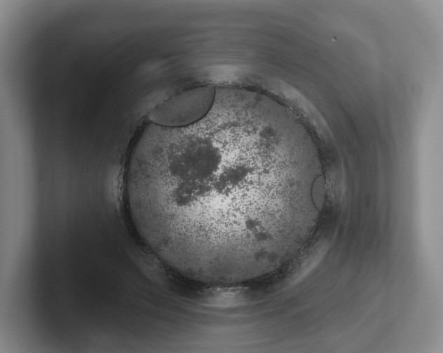 X0000102480495200808151453