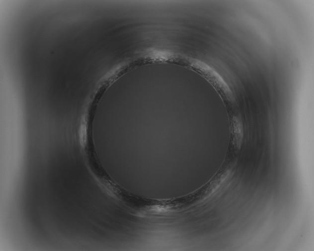 X0000102480496200808151453