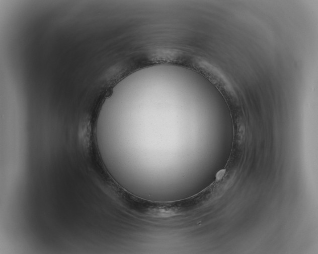 X0000102480498200808151453