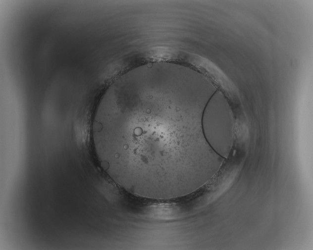 X0000102480499200808151453