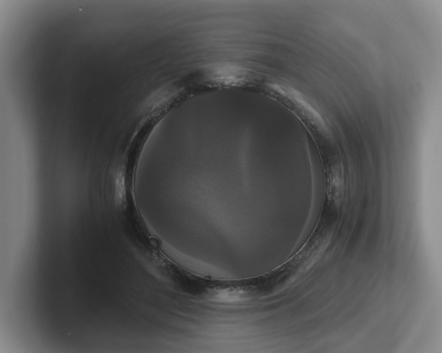 X0000102480500200808151453