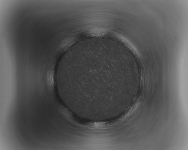 X0000102480501200808151453