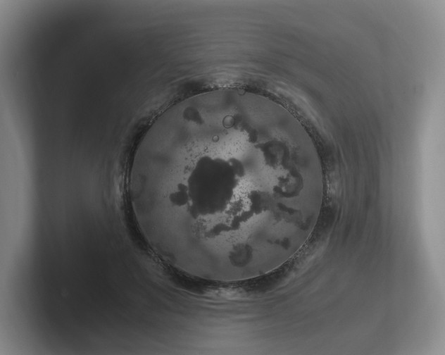 X0000102480503200808151453