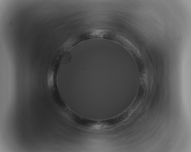 X0000102480504200808151453