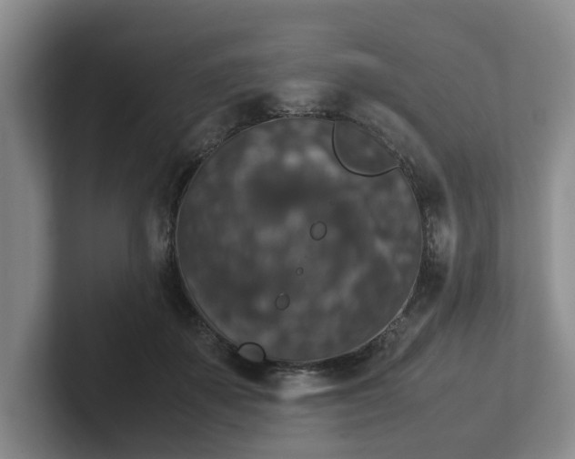 X0000102480507200808151453