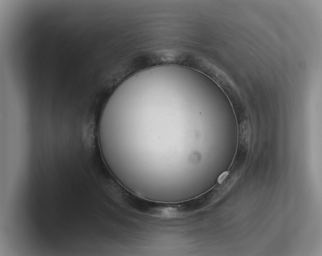 X0000102480509200808151453