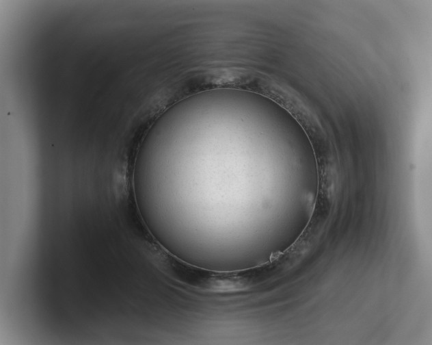 X0000102480510200808151453