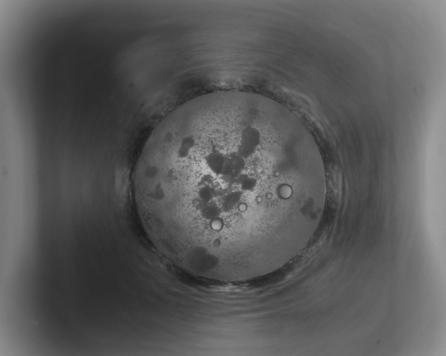 X0000102480511200808151453