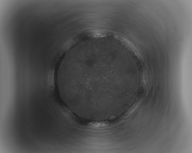 X0000102480512200808151453