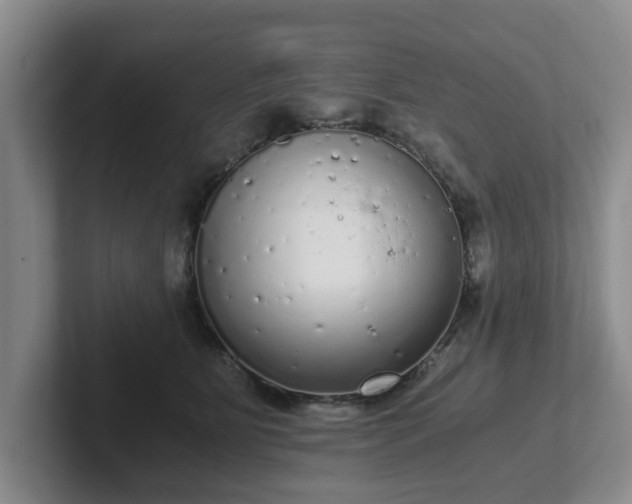 X0000102480515200808151453