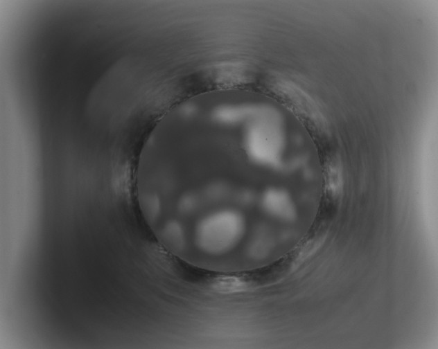 X0000102480519200808151452