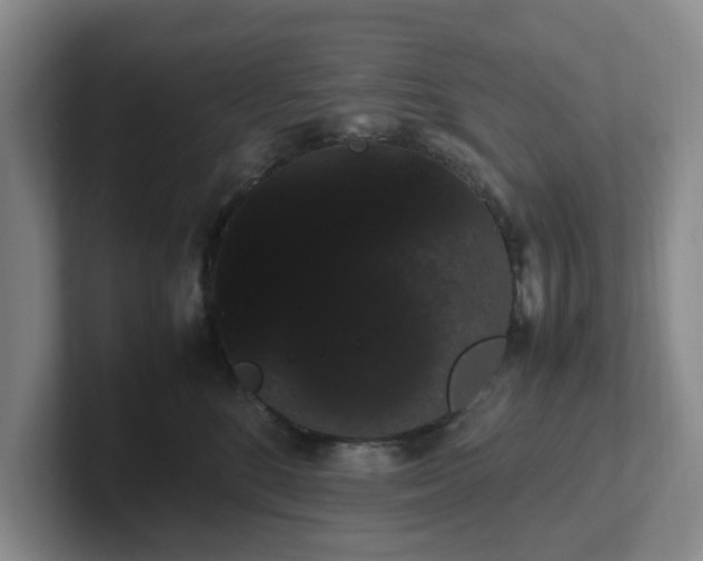 X0000102480520200808151452