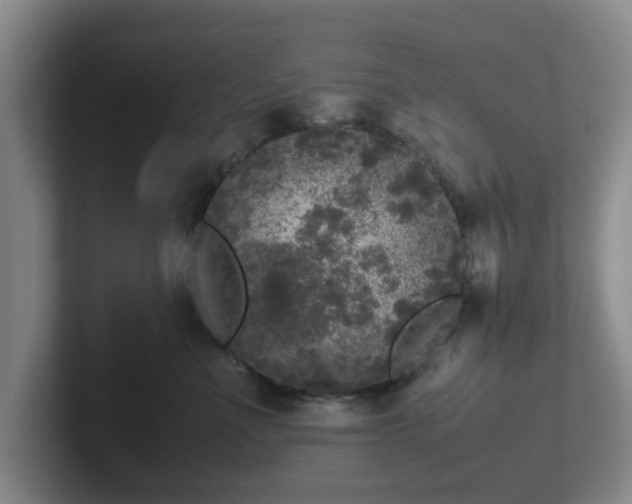 X0000102480523200808151452