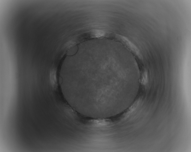 X0000102480524200808151452