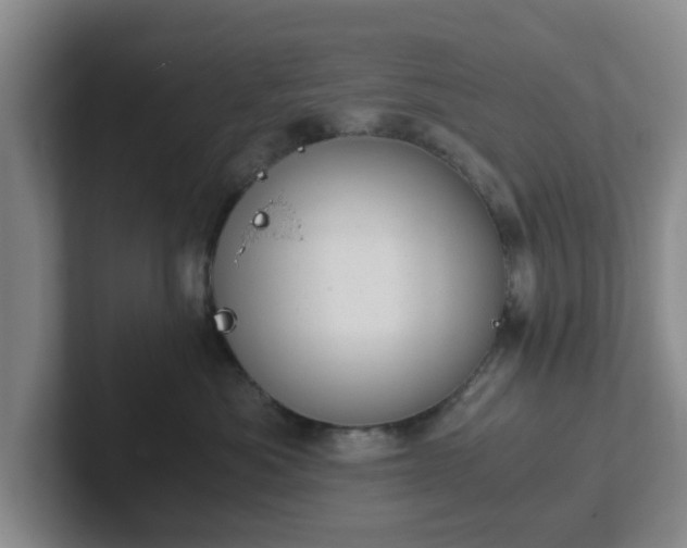 X0000102480525200808151452