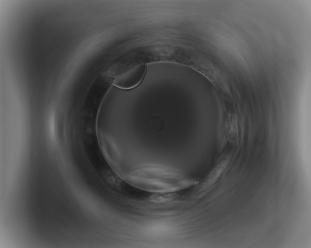 X0000102480526200808151452