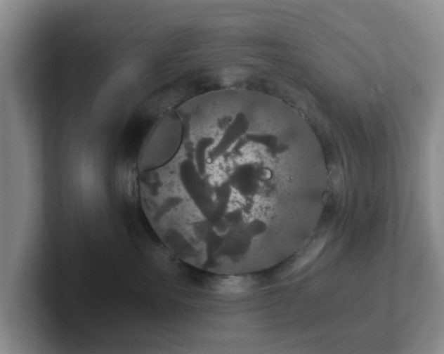 X0000102480527200808151452