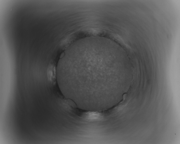 X0000102480528200808151452