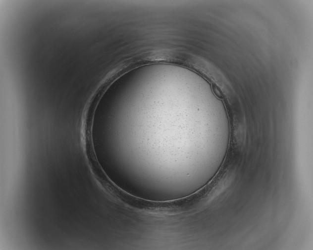 X0000102480530200808151452