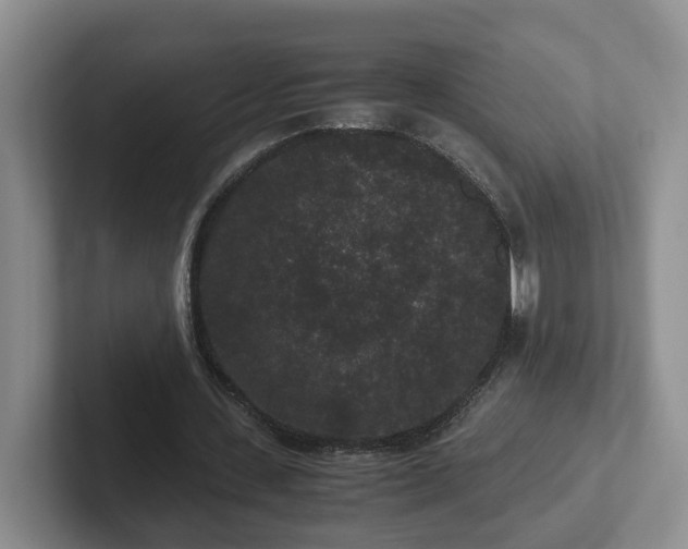 X0000102480531200808151452