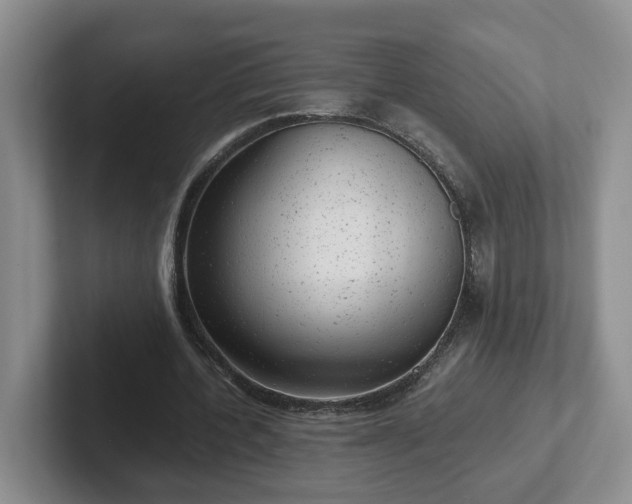 X0000102480532200808151452