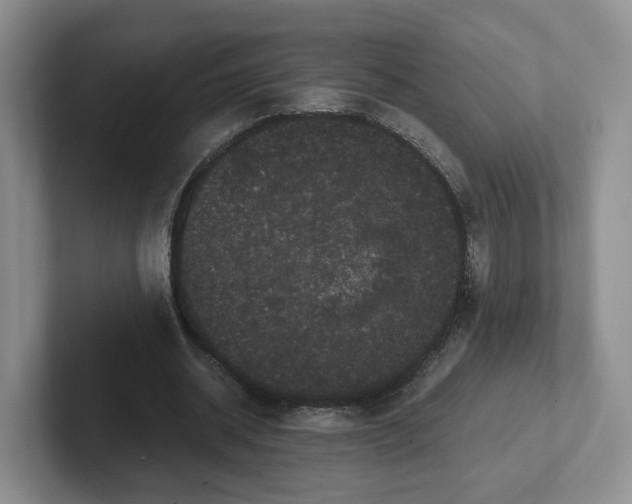 X0000102480534200808151452