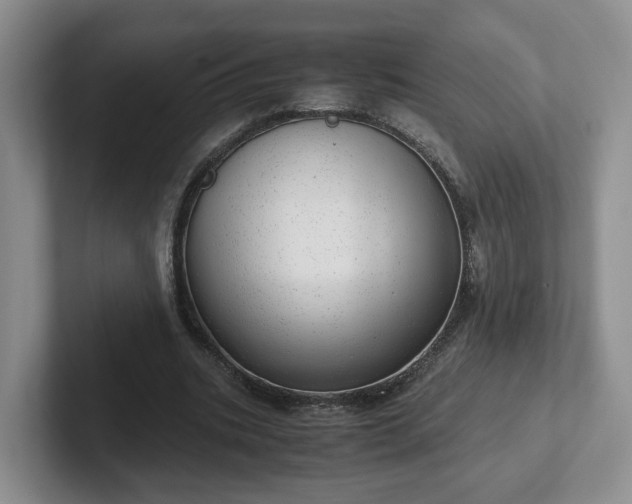 X0000102480535200808151452