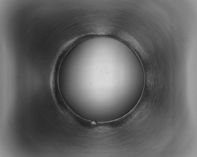 X0000102480536200808151452