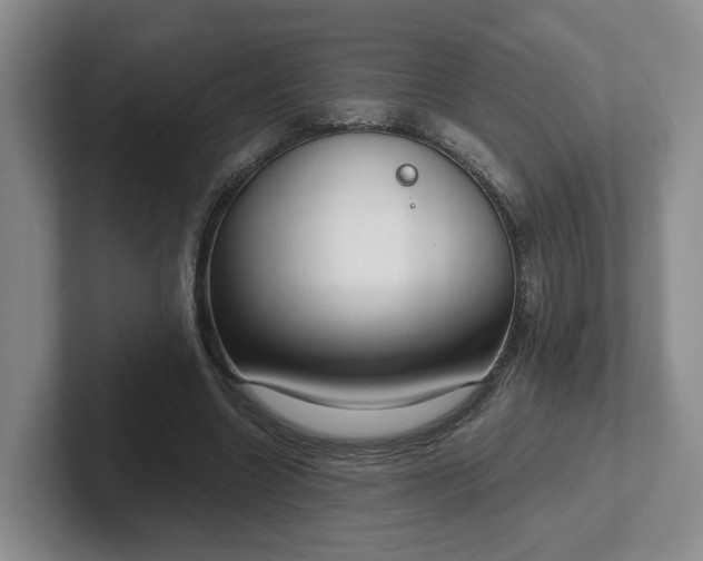 X0000102480538200808151452