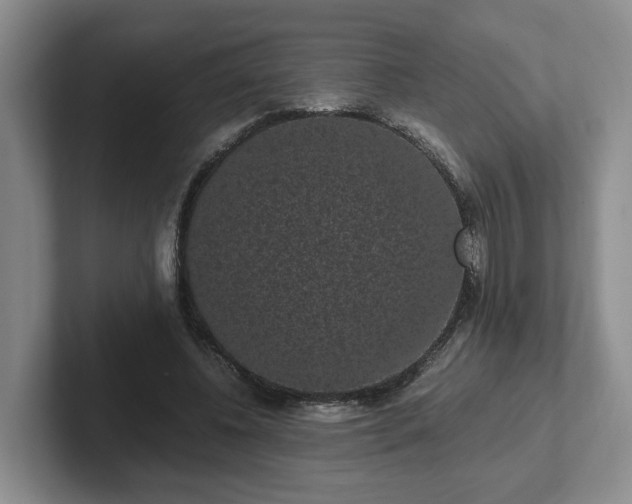 X0000102480540200808151452