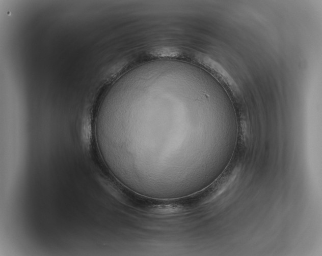 X0000102480541200808151452