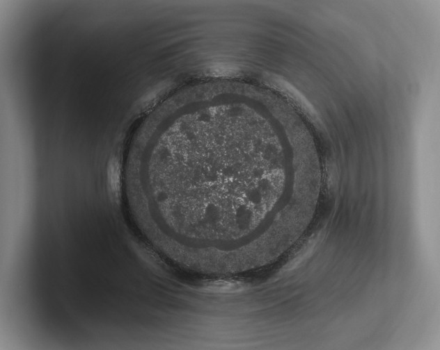 X0000102480542200808151452