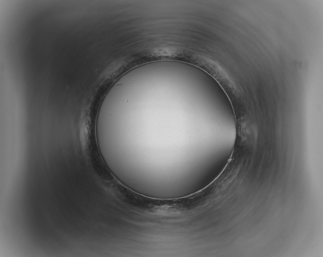 X0000102480544200808151452