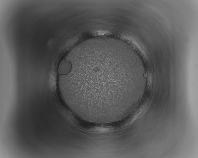 X0000102480545200808151452