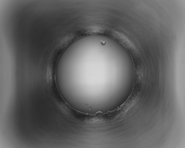 X0000102480546200808151452