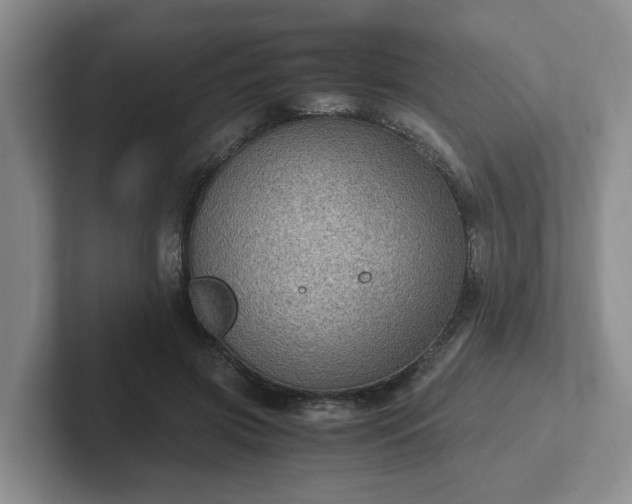 X0000102480549200808151452