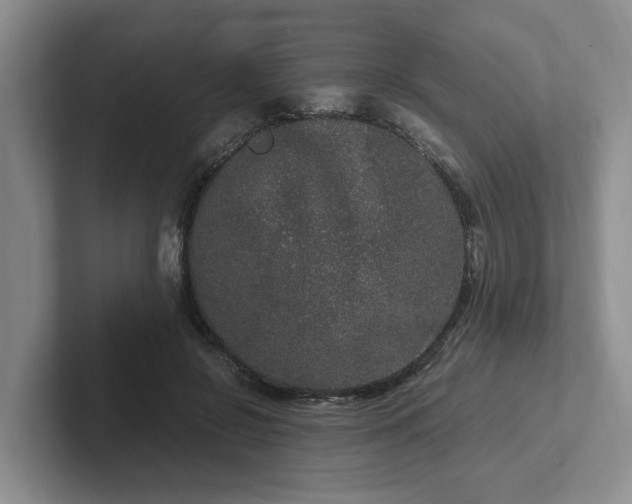 X0000102480550200808151452