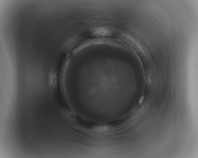 X0000102480551200808151452