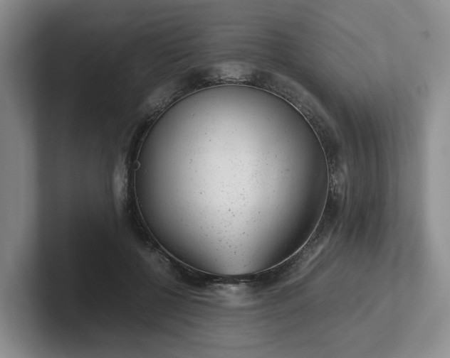 X0000102480552200808151452