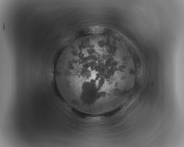 X0000102480553200808151452