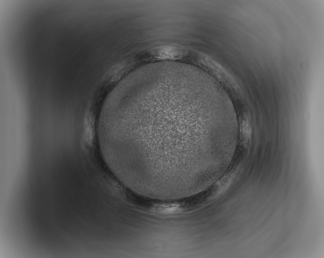 X0000102480554200808151452