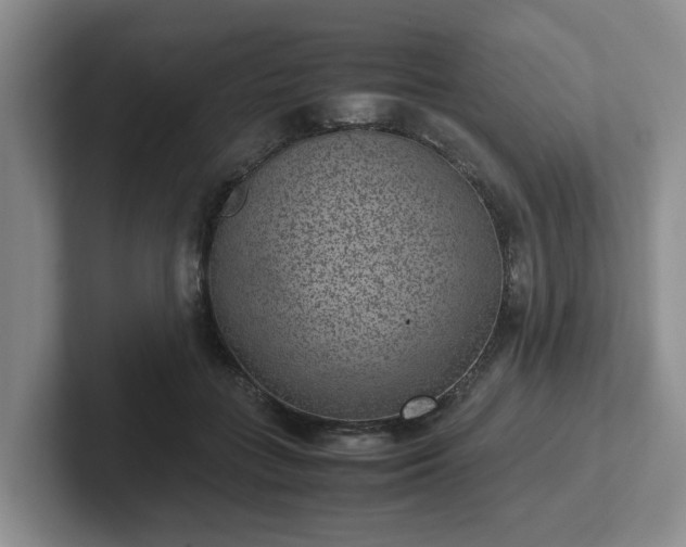 X0000102480555200808151452