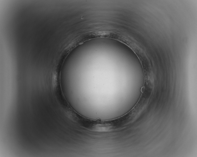 X0000102480556200808151452