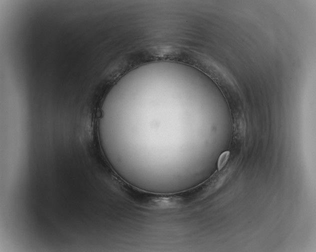 X0000102480558200808151452