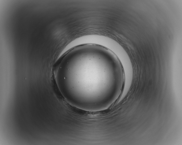 X0000102480560200808151452